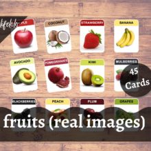 FRUITS (Real Images) - 45 Flash Cards | Montessori Material | 3 Part ...