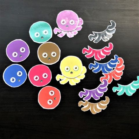 Color (Octopus) Matching - Puzzle | Montessori Activity (9 Colors ...