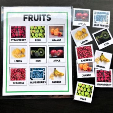 Fruits Matching - Puzzle | Montessori Activity (9 Fruits) - LifeLoLo