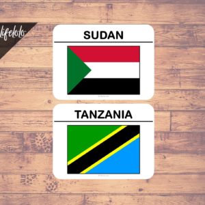 Africa FLAGS Flash Cards | Montessori | Three Part Cards | Homeschool ...