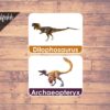 dinosaur flash cards