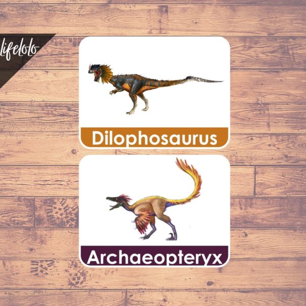 dinosaur flash cards