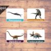 dinosaur flashcards