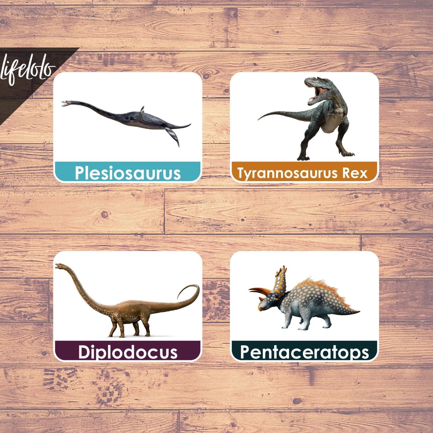 Dinosaurs 24 Flash Cards Nomenclature Cards Montessori Materials