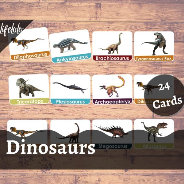 Dinosaur Flash Cards Printable Free