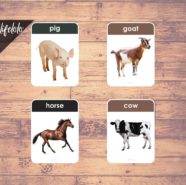 FARM ANIMALS (Real Pictures) - 27 Flash Cards | English Printable ...