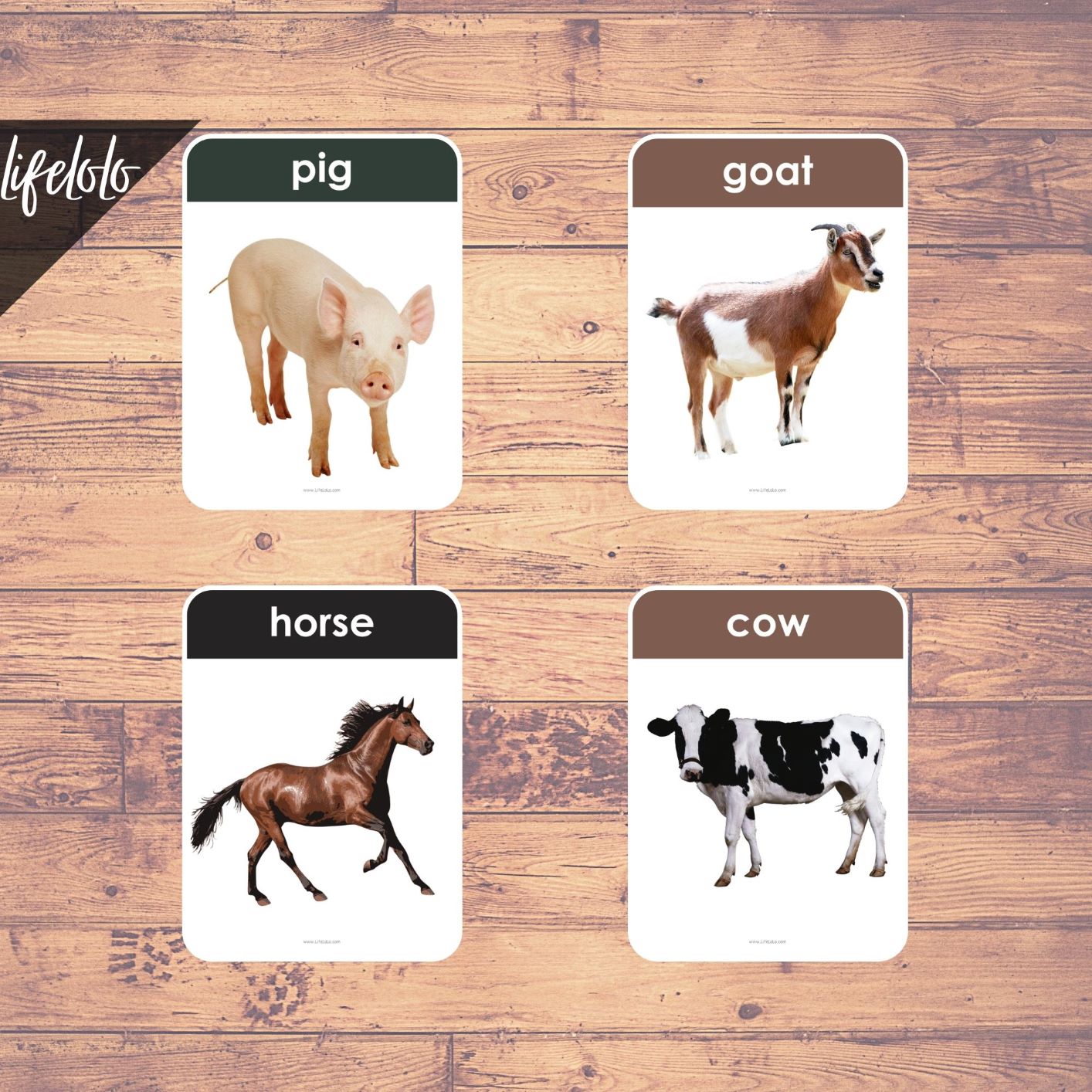 farm-animals-real-pictures-27-flash-cards-english-printable