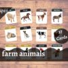 farm animals flash cards