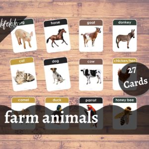 farm animals flash cards