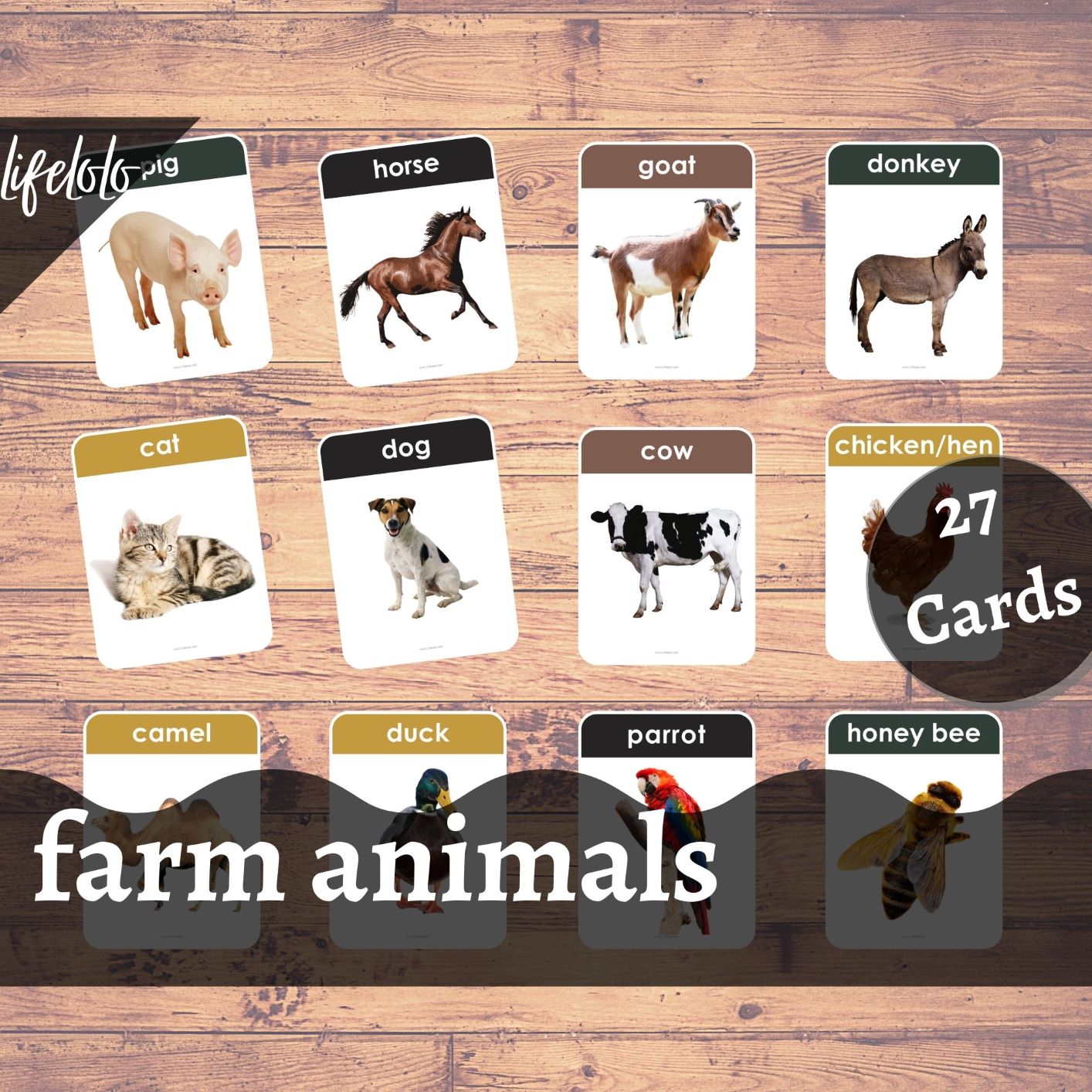 FARM ANIMALS (Real Pictures) 27 Flash Cards English Printable