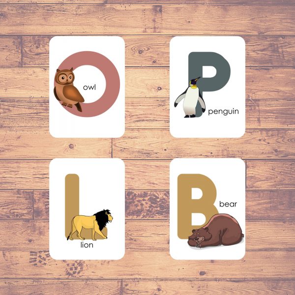 ANIMAL ALPHABETS Flashcards Homeschooling Learning 26 Cards 