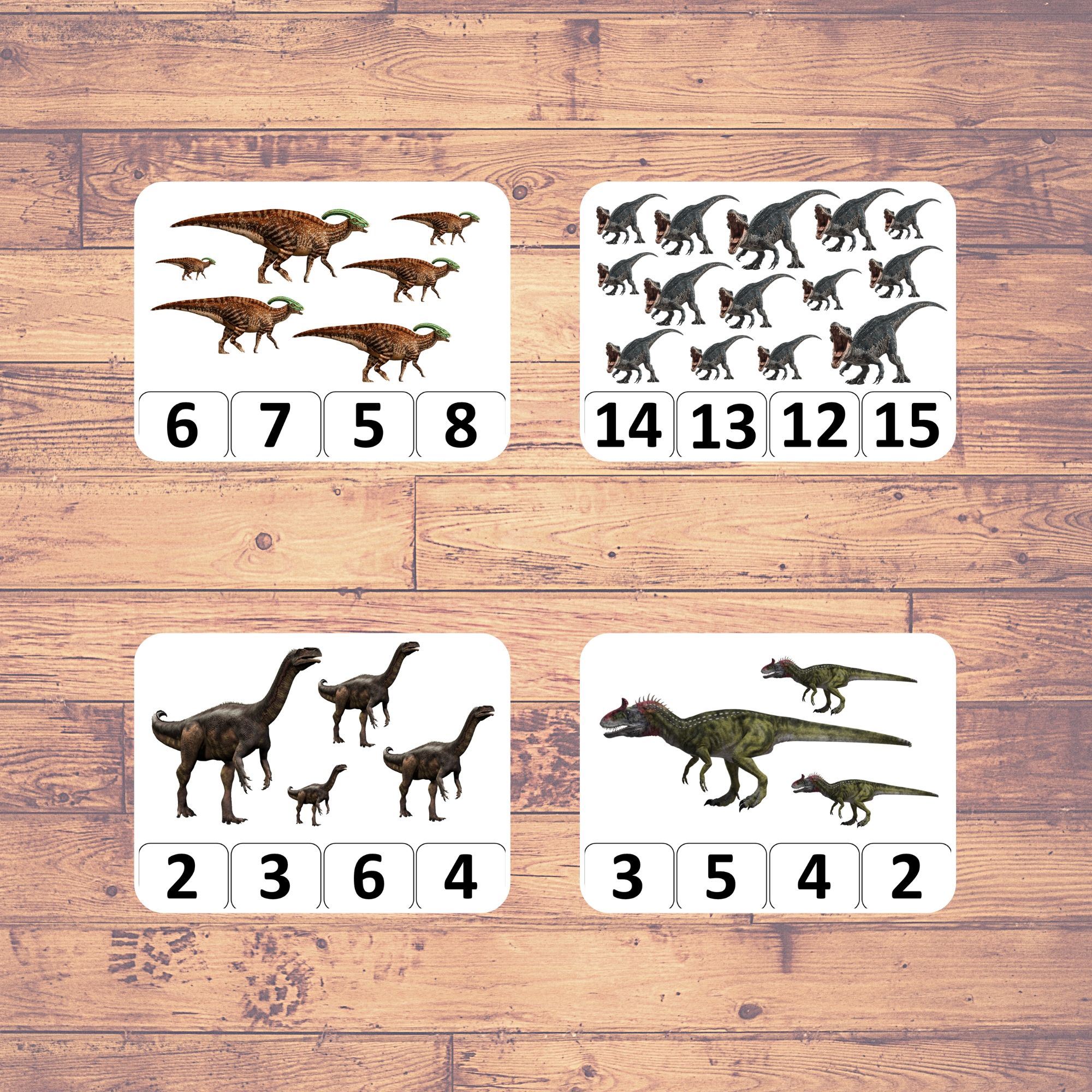 COUNTING DINOSAURS Clip Counting Cards Montessori Educational Learning 20 Cards 