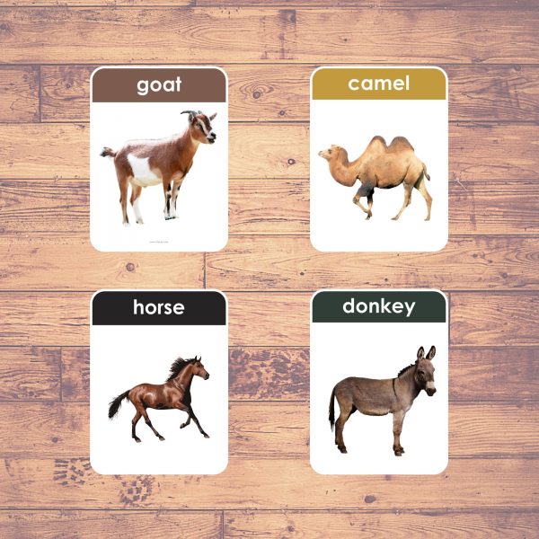 FARM ANIMALS (Real Pictures) Flash Cards Montessori