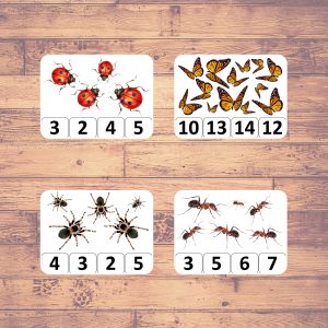 counting insects flashcards