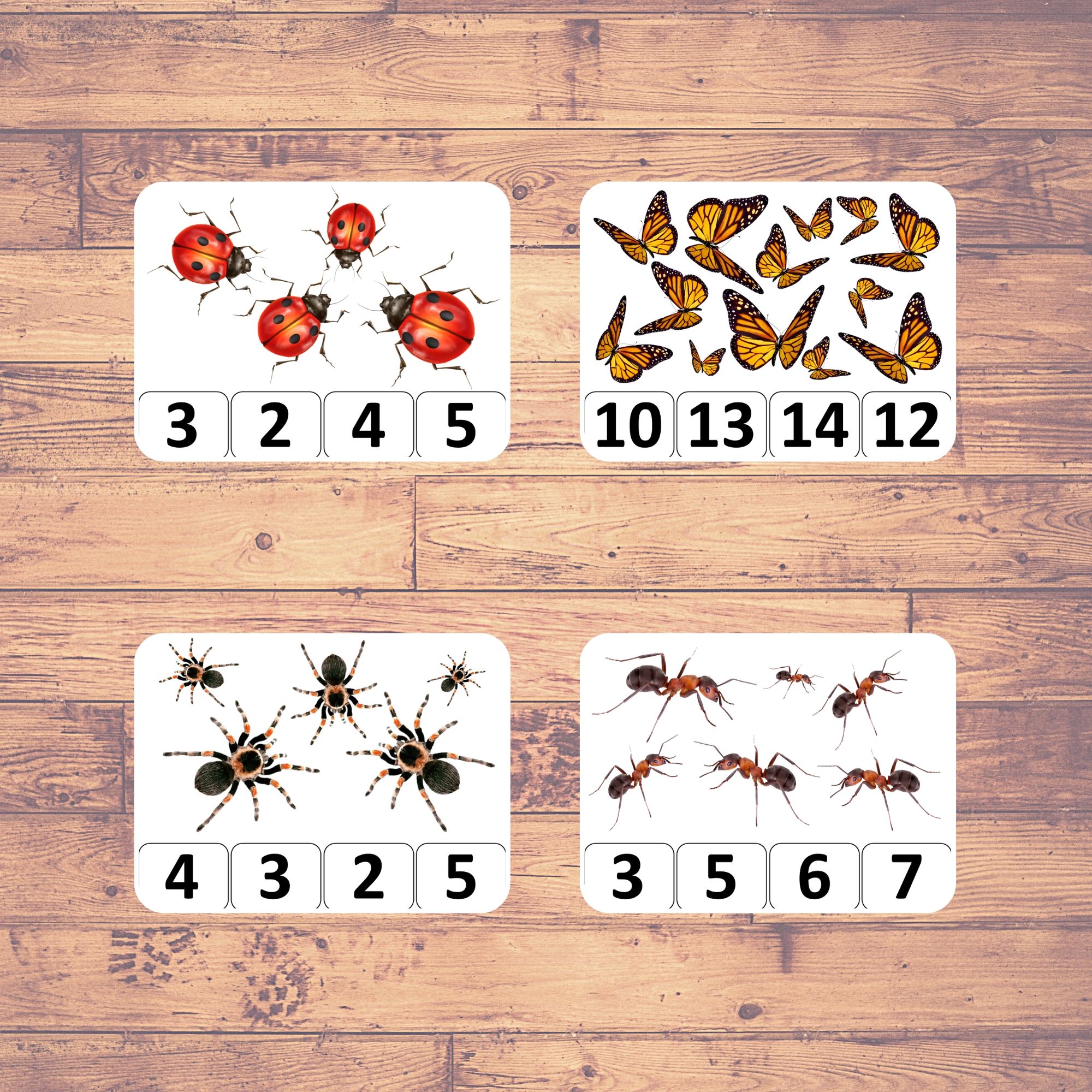 COUNTING INSECTS - Clip Counting Cards | Montessori | Educational