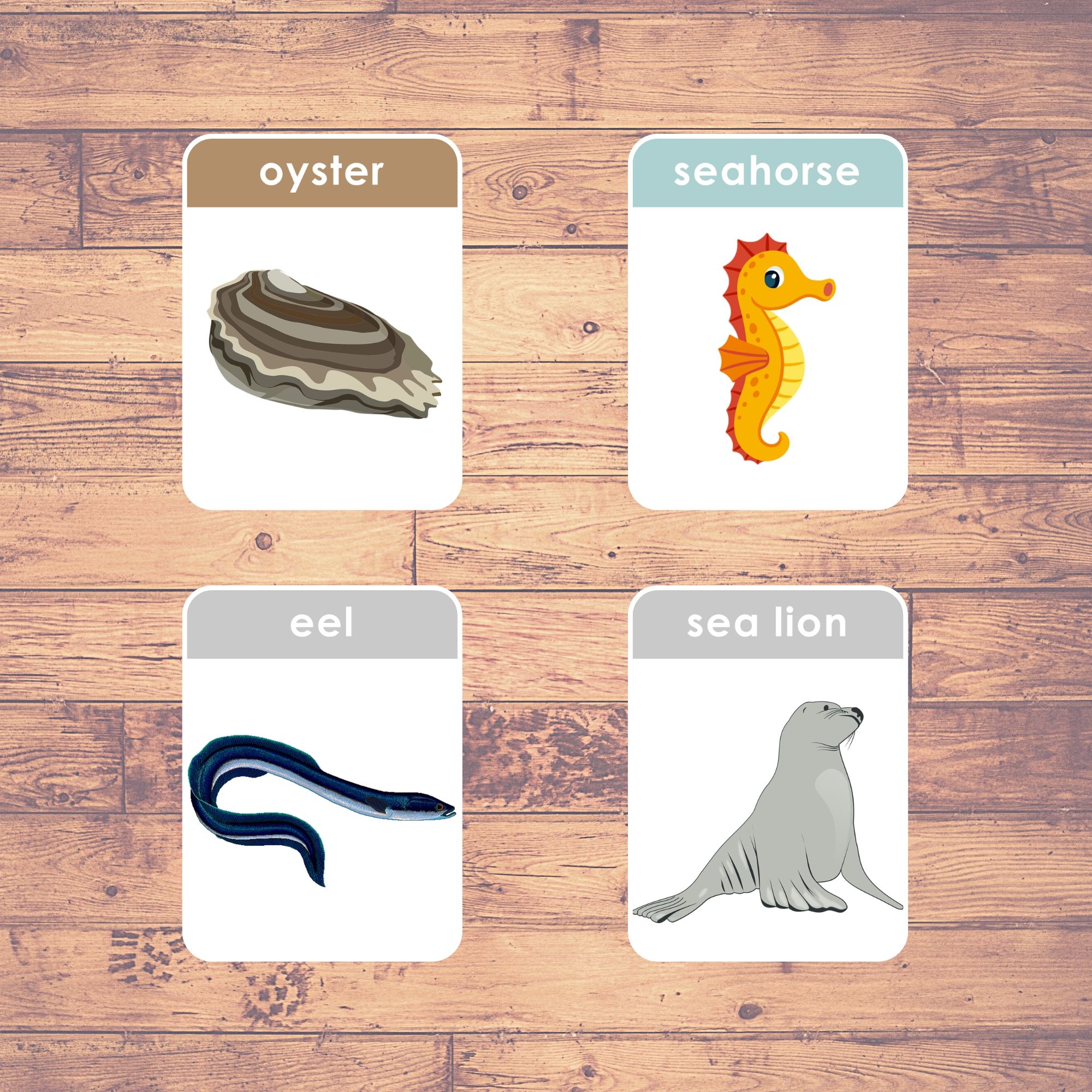 SEA ANIMALS - Flashcards | Montessori | Educational | Learning | (26 ...