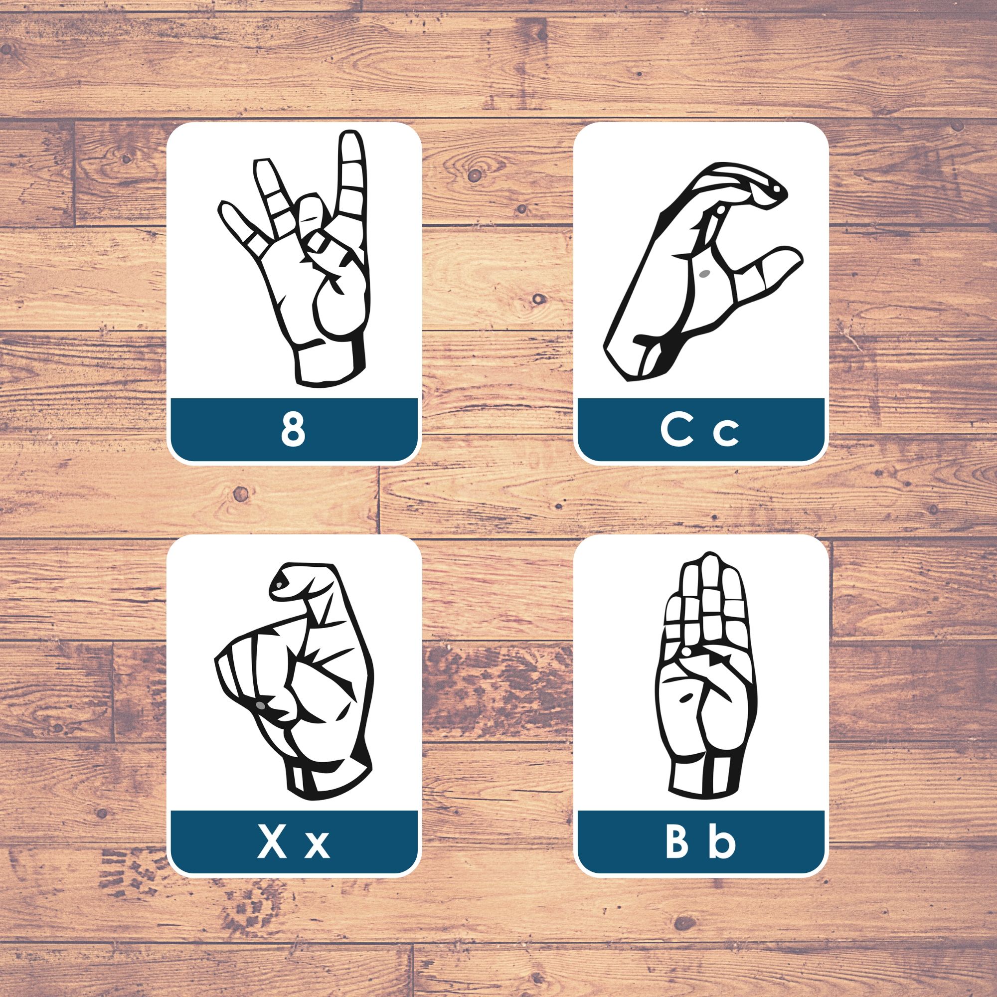 SIGN LANGUAGE Flashcards Educational ThreePart Cards Learning (36 Cards) LifeLoLo