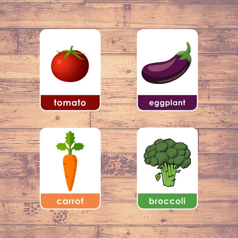 Vegetables Flash Cards Montessori Educational Learning 32