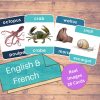 french sea animals