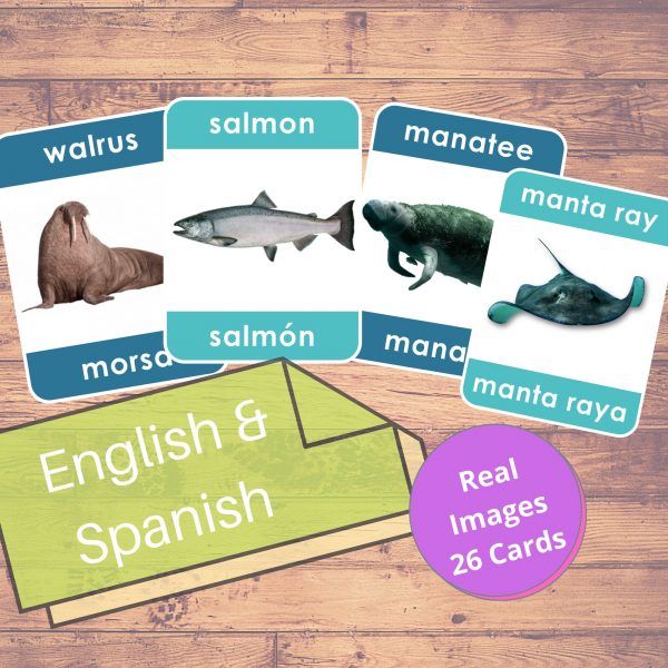 sea animals in spanish