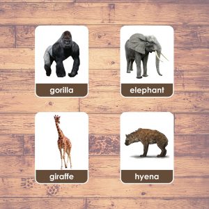 animals from africa