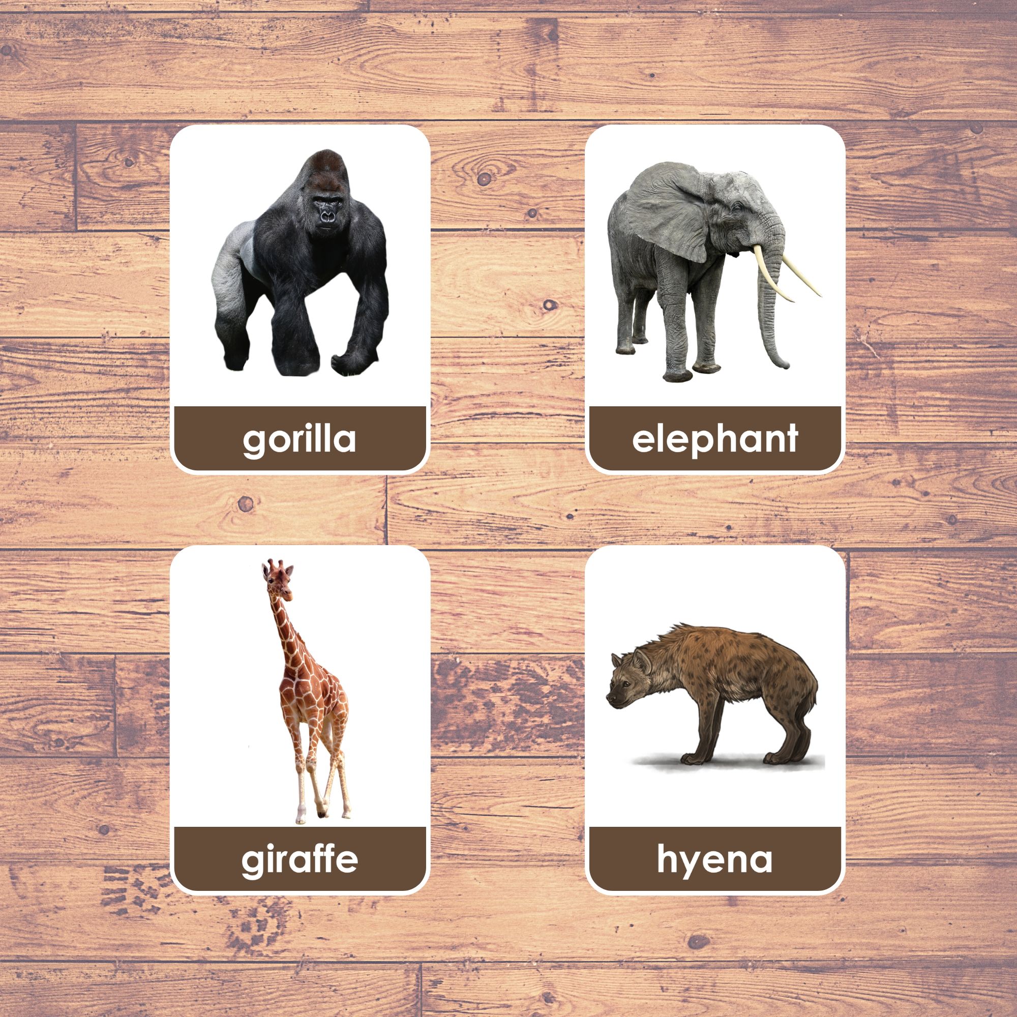 AFRICA ANIMALS - Flashcards | Montessori | Educational | Learning