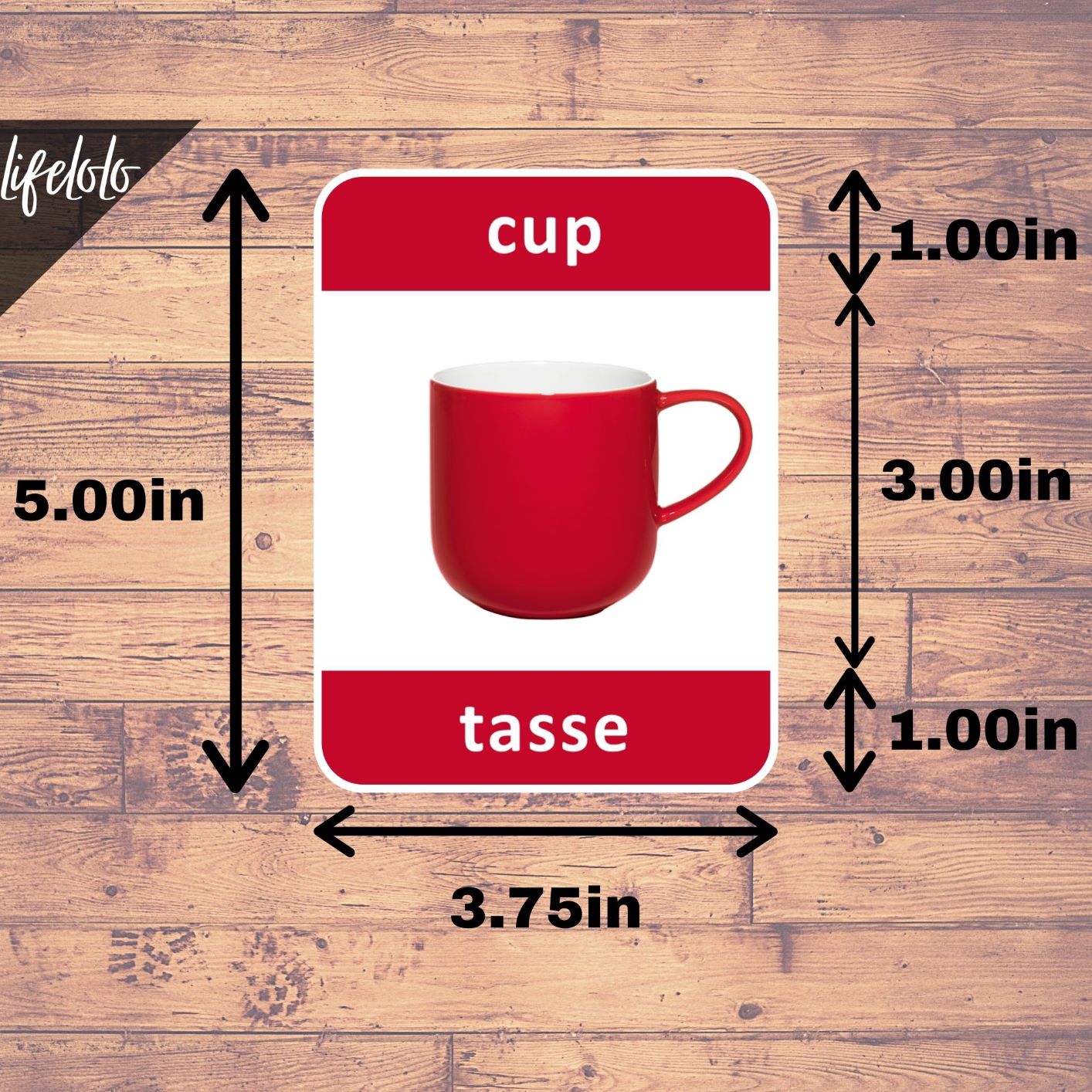 french laminated flash cards