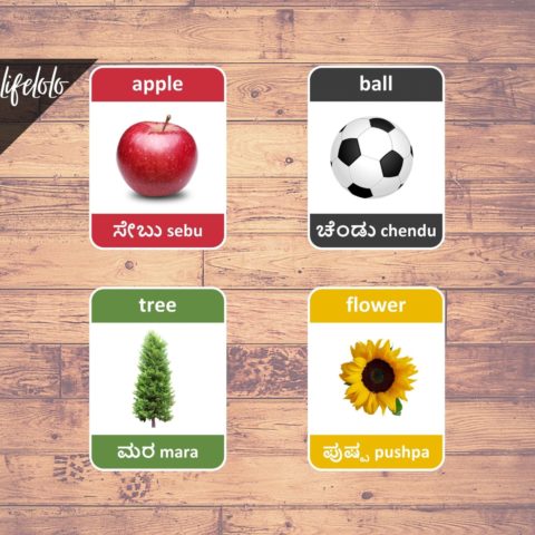 First Words KANNADA Flash Cards | Bilingual Homeschool Printable ...