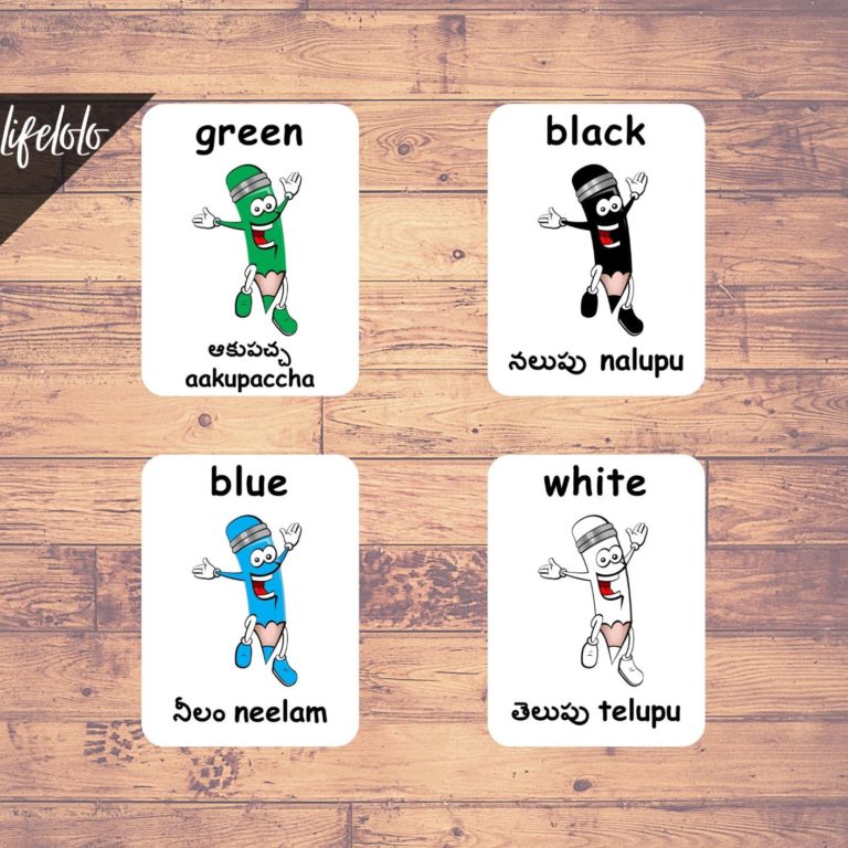 Colors TELUGU Flash Cards Bilingual Homeschool Printable Telugu 