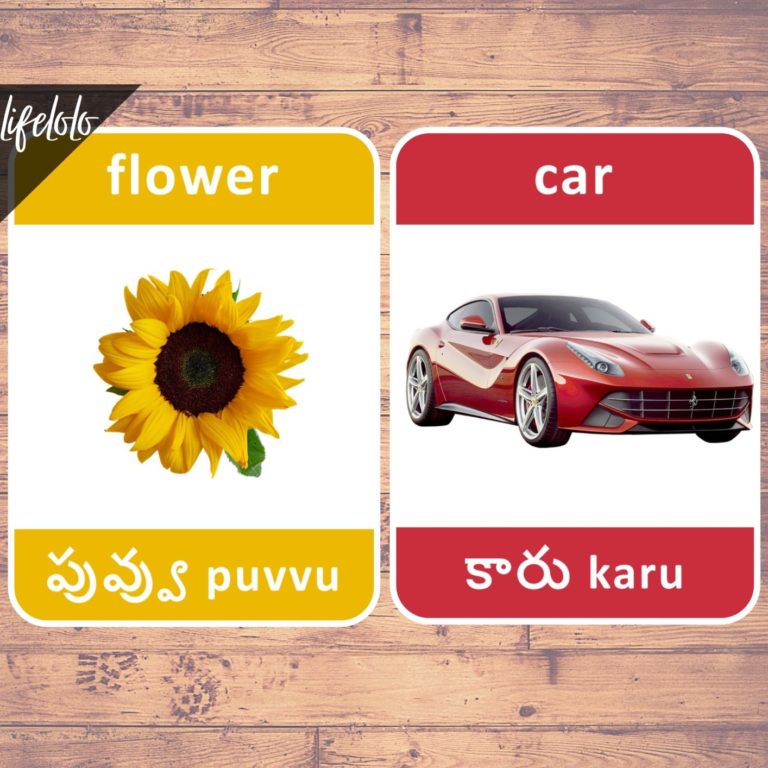 First Words TELUGU Flash Cards | Bilingual Homeschool Printable ...