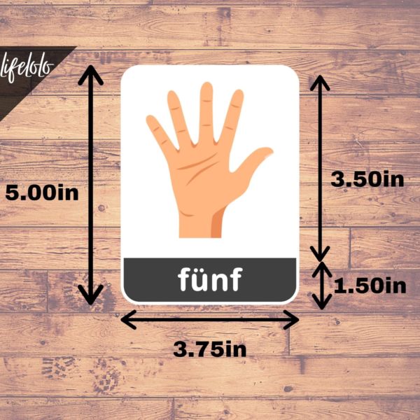 finger-counting-german-counting-11-counting-flash-cards-german-numbers-deutsche-numbers