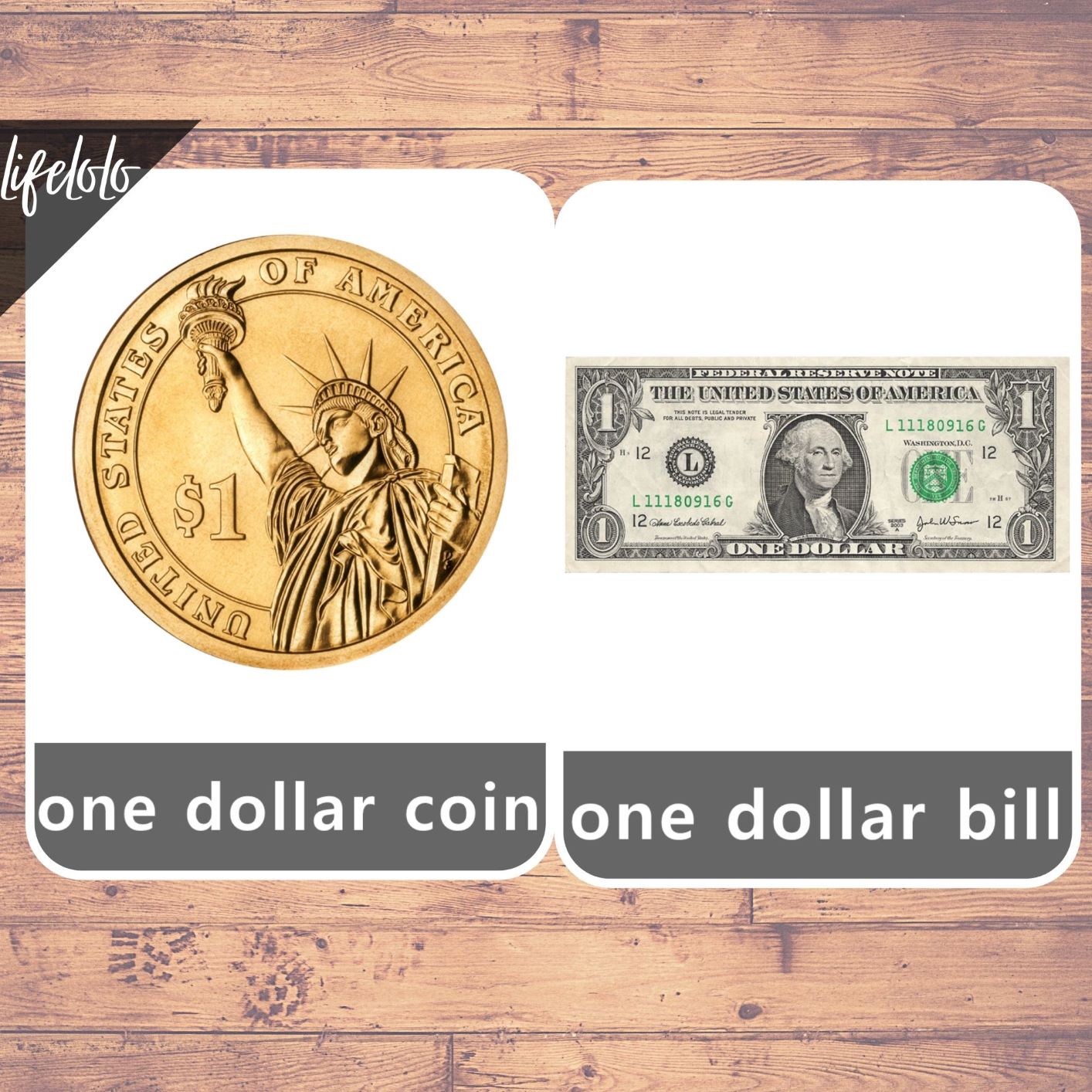us coins cards