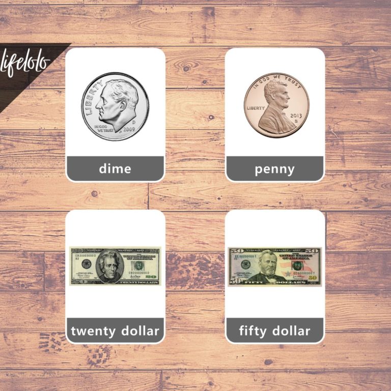 Printable Money Flash Cards