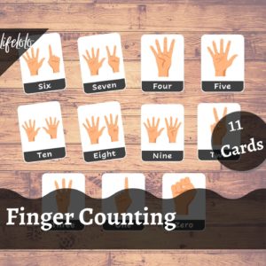 finger counting flash cards