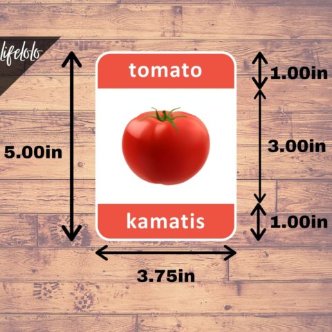 First Foods FILIPINO Flash Cards | Bilingual Homeschool Printable ...