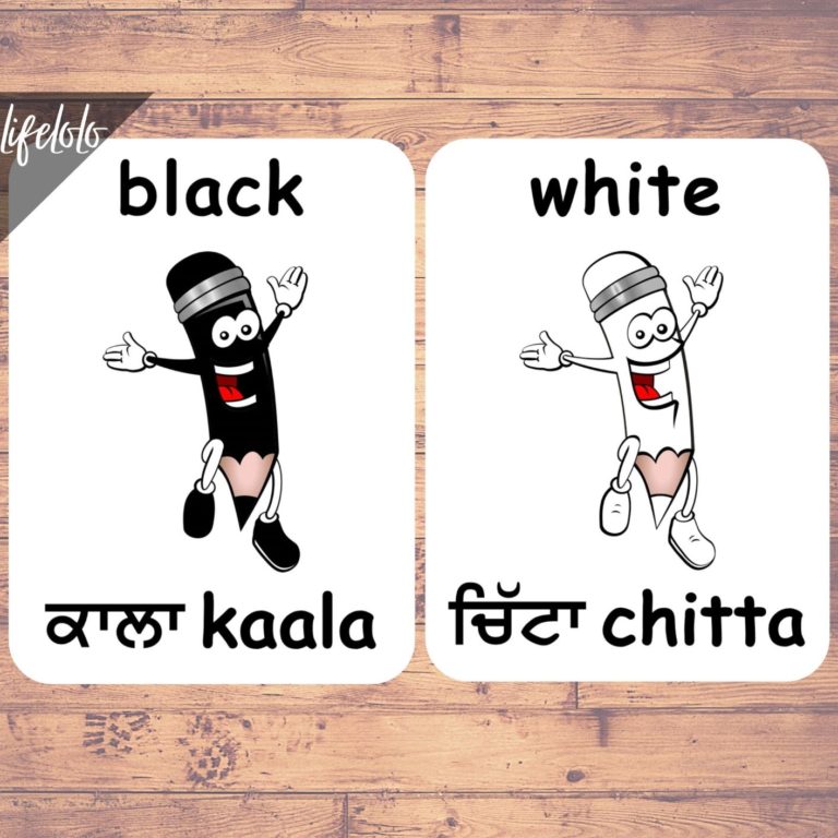 Colors PUNJABI Flash Cards Bilingual Homeschool Printable Punjabi
