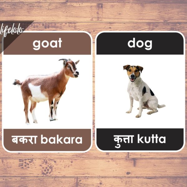 Farm Animals HINDI Flash Cards | Bilingual Homeschool Printable | Hindi  Printable | Download Printable | Laminated Cards (27 Cards) - LifeLoLo