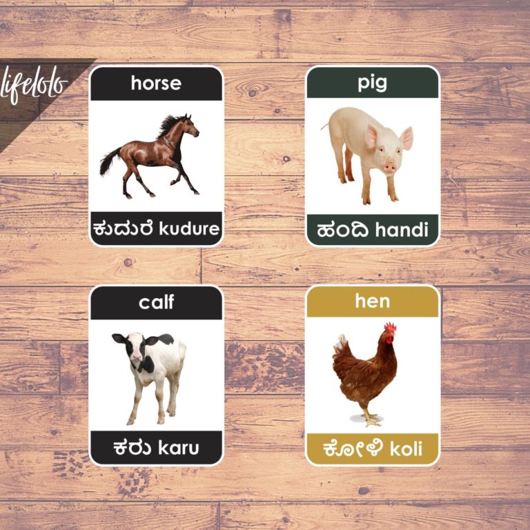 Farm Animals KANNADA Flash Cards | Bilingual Homeschool Printable