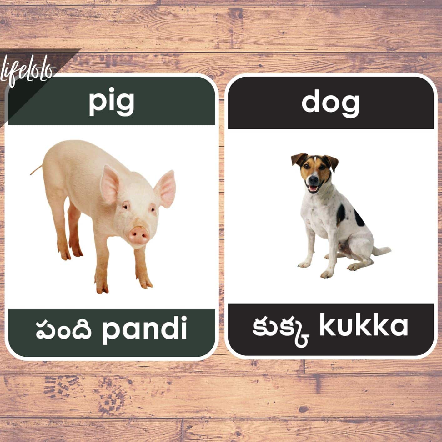 telugu laminated cards
