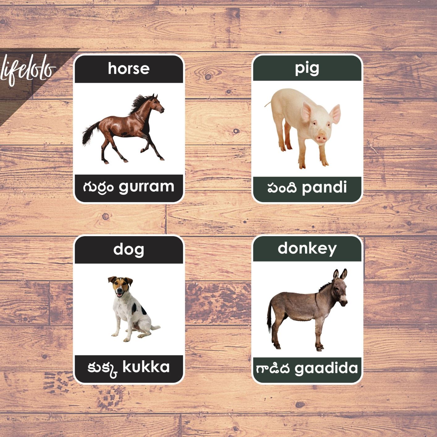 farm animals in telugu