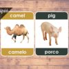 farm animals portuguese