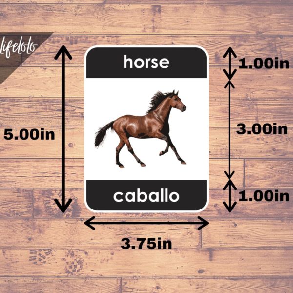 spanish animals